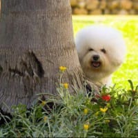 María José Bernal Martín