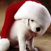 Hendrick Enrique Araujo Contreras