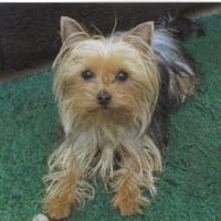 angel andres garcia molina