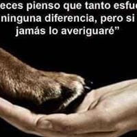 Armando Ballesteros