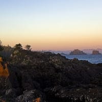 Carlos Cañizares Estévez