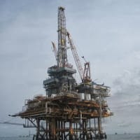 carma carlin malpica