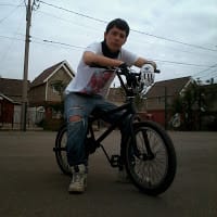 Feliplay jogo