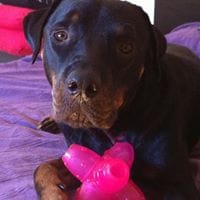 Verónica Jurado Rabadán