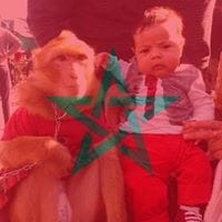 mohamed elouajdani