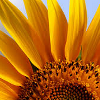 Alejandra Santamaria