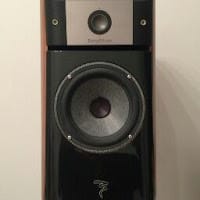 daniel jorge saltalamacchia