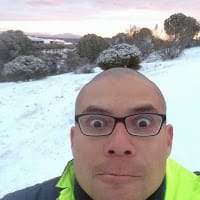 Ever Garrido