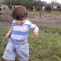nattu maldonado