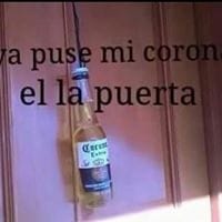Momi Momi