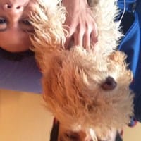 Daniel Cortez Isidro