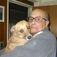 Ricardo Rocchi
