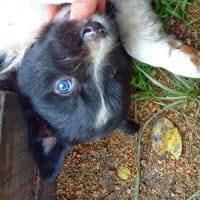 Mara Casales Diaz