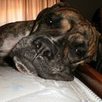 Eduardo Estevez Villar