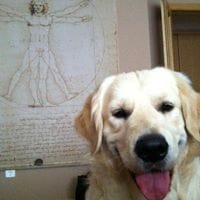 Enzo Elvis