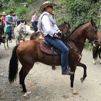 RONALD MUÑETONES
