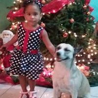Dennisse Karina Rendon Marquez