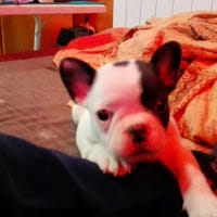 Fernando Sola Navarro