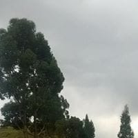 alex uriel huaycha conde