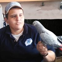 Adrian Carvajal