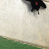 Oinotna Perez Llobet