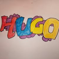 Hugo RV22