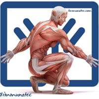 Alejandro Ibarra Gutierrez