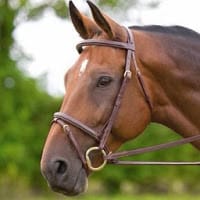 Miguel Bajón Román