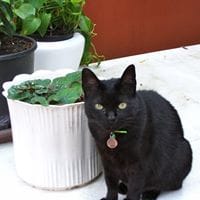 Pilar Bejarano Bosqued