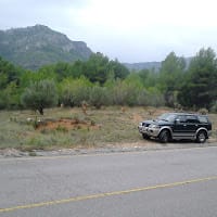 Juan Torrent