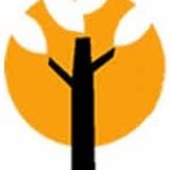 Artenfusta Carpinteria