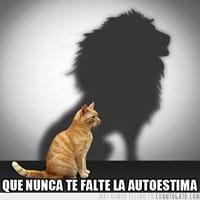 Raor He