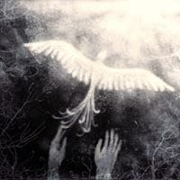 RavenGod SadMan