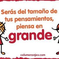 Sandy VQ