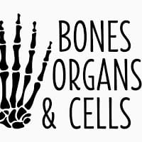 Bones Organs and Cells Aldasoro