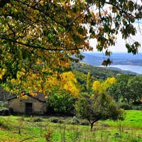 La Casa de Su Baños de Montemayor