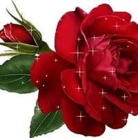 Li Dosmilseis