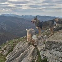 Tamara Macarrilla de Sande