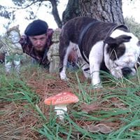 Miguelo Jaja Submarine