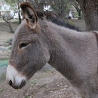 Radiotvsierras Alta Gracia