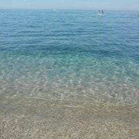 Charo Torres Salinas