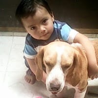 angie murcia