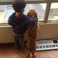 Mauricio Cevallos López