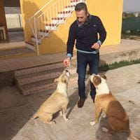 Pepe Ayuso