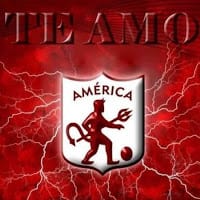 brayan andres pulido camacho