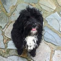 Carlos Fernandez Diez