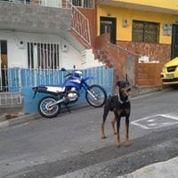 Esteban Giraldo