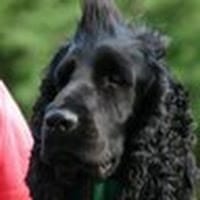 Enrique Estalrich Melero