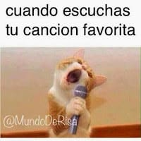 Mary zmfc
