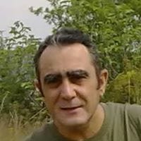 jose simo bermell